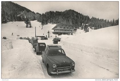 38 // SAINT PIERRE D ENTREMONT   Station du Planolet