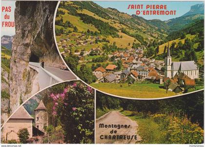 Isère :  SAINT  PIERRE   D '  ENTREMONT  :  vues