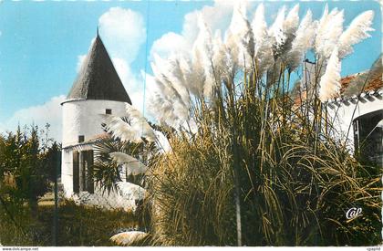 CPM Saint-Pierre-d'Oleron (Ile d'Oleron) Le Moulin du Coivre