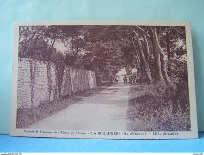 SAINT-PIERRE-D'OLERON (CHARENTE MARITIME) COLONIE DE VACANCES DE L'UNION DE LIMOGES. LA BOULINIERE. ALLEE DE SAPINS.