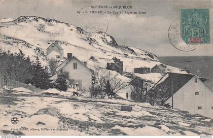 SAINT PIERRE ET MIQUELON  le cap a l'Aigle en hiver