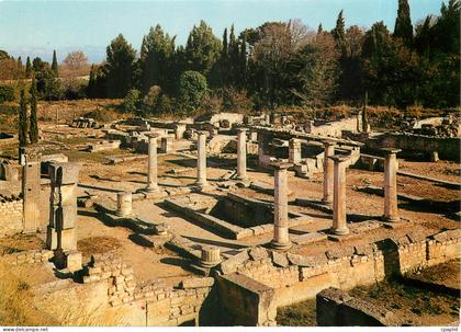 CPM Saint Remy de Provence Glanum Peristyle et citerne de la Maison des Antes