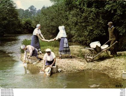 Saint remy en bouzemont "les morelles"