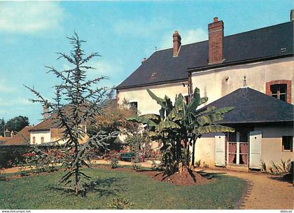 Carte Postale - 89 - Saint Sauveur en Puisaye - Maison natale de Colette romancière  née à St Sauveur - Carte Neuve - CP