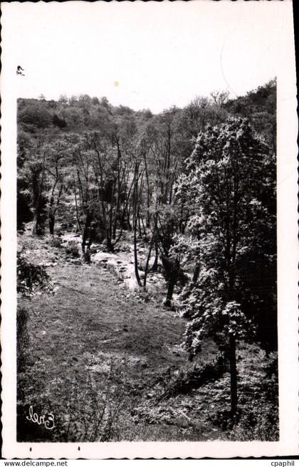 CPA Environs de St Sulpice les Feuilles H V Vallee de la Benaize