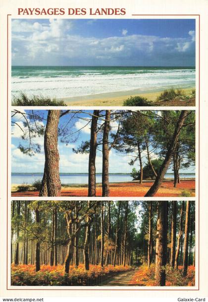 40 SAINT VINCENT DE TYROSSE VISAGE DES LANDES