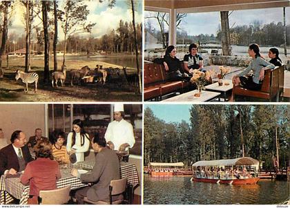 Carte Postale - 91 - Saint Vrain - Le Parc de Saint Vrain - Multivues - CPM - Voir Scans Recto-Verso - Poscard - Carta P