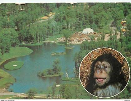 Carte Postale - 91 - Saint Vrain - Le Parc de Saint Vrain - Vue d'ensemble - Singes - Animaux - CPM - Etat froissures vi