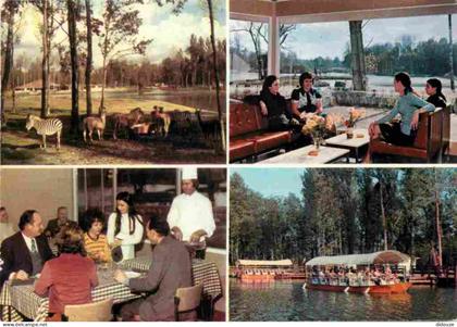 Carte Postale - 91 - Saint Vrain - Parc Zoologique de Saint Vrain - Multivues - Zèbres - CPM - Voir Scans Recto-Verso -