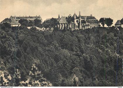 CPM Mont sainte odile 763 m