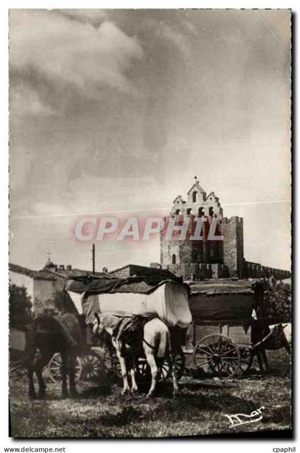 CPM Saintes Maries De La Mer Campement des Gitans