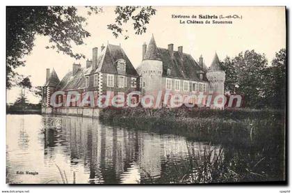 CPA Environs de Salbris Le Chateau de Souesmes