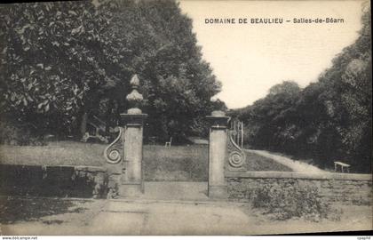 CPA Domaine De Beaulieu Salies De Bearn