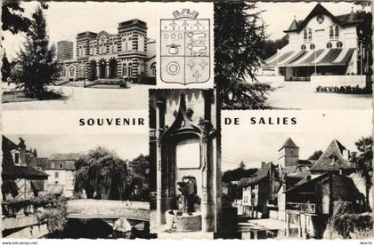 CPA Salies de Bearn Souvenir de Salies FRANCE (1131016)