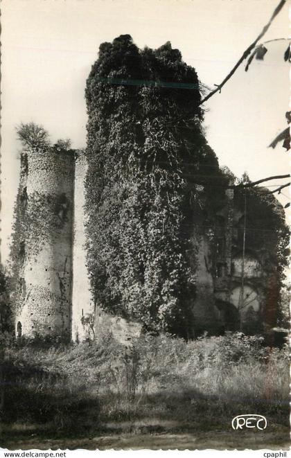 CPM Sancoins Cher Ruines du Chateau de Jouy