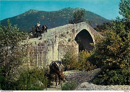 Carte Postale - 20 - Sartène - Pont Genois aux environs de Sartène - Chevaux - CPM - Voir Scans Recto-Verso - Poscard -