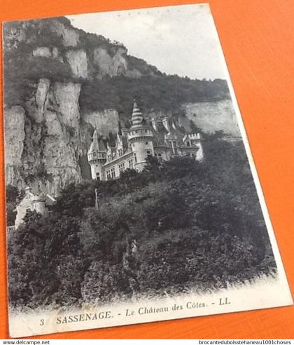 38  Sassenage  Le Château des Côtes