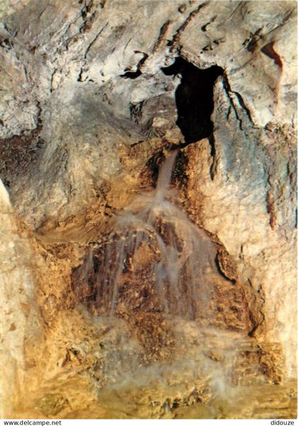 Carte Postale - 38 - Sassenage - Les Cuves de Sassenage - Cascade - CPM - Carte Neuve - Voir Scans Recto-Verso - Poscard