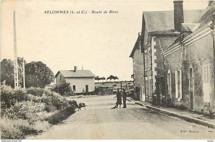41 / SELOMMES / Route de Blois / * 506 59