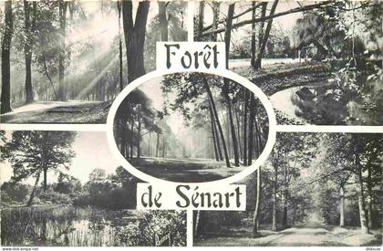 Carte Postale -91 - Sénart - Forêt de Sénart - Multivues - Carte Dentelée - CPSM format CPA - Voir Scans Recto-Verso - P