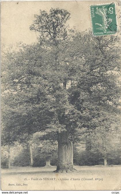 CPA Forêt de Sénart Chêne d'Antin