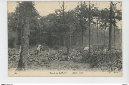 Forêt de SÉNART - Bûcherons