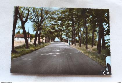 Cpm, Sermaize les Bains, route de la Source, Marne 51