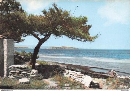 11 SIGEAN L ETANG DE SIGEAN L ANGLE