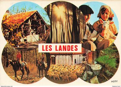 40 SORE LES LANDES