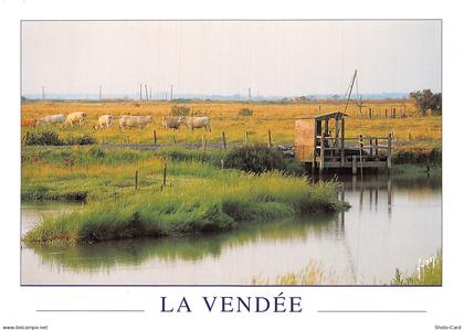 85 SOULLANS LE MARAIS VENDEEN