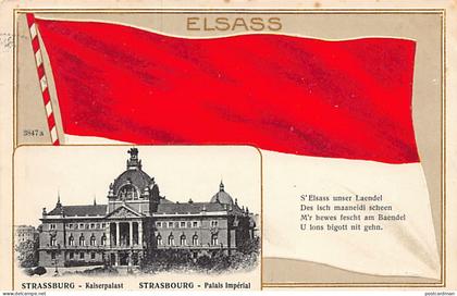 France - STRASBOURG - Le palais du Rhin ancien palais impérial ( Kaiserpalast) Ed. Delix Luib