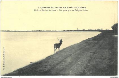 CPA CHASSE A COURRE - Cerf au Bord de la Loire - Vue prise près de SULLY SUR LOIRE