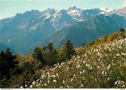 Carte Postale - 31 - Superbagnères - Vue du Plateau de Superbagnères sur la Vallée de l'Hospice de France - CPM - Voir S