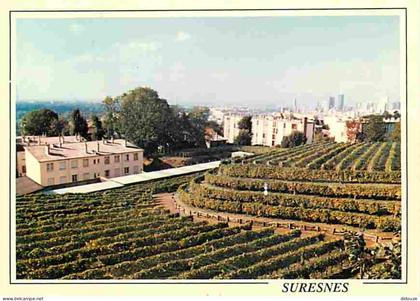 Carte Postale - 92 - Suresnes - Domaine de la Ville de Suresnes - CPM - Voir Scans Recto-Verso - Poscard - Carta Postal
