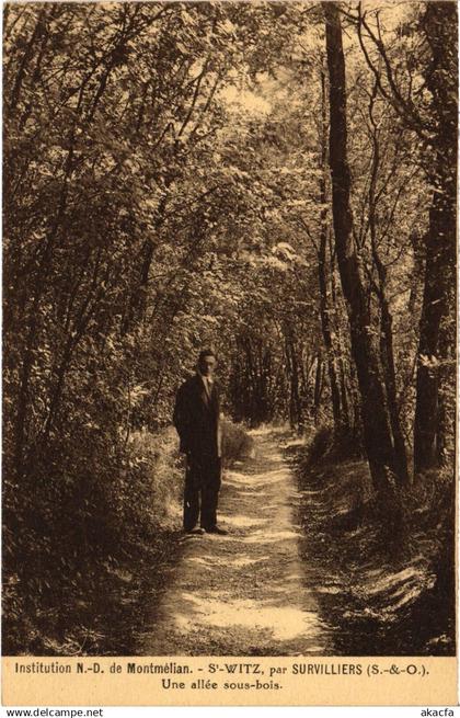CPA Survilliers Une allee sous-bois FRANCE (1307828)