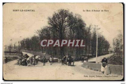 CPA Sury le Comtal Le Bois d'Amour de Sury