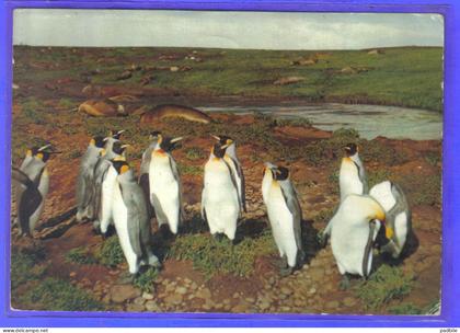 Carte postale TAAF : Terres Australes Antarctiques Françaises Kerguelen prospection AMOR  via 59. Anzin