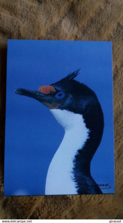 CPM TAAF TERRES AUSTRALES ET ANTARCTIQUES DE FRANCAISES CORMORAN DE KERGUELEN PHOTO A FATRAS ED LABOUREUR
