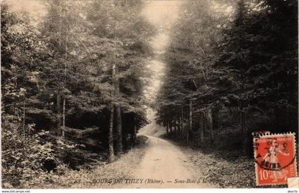 CPA Thizy - Bourg de Thizy - Sous-Bois a la Foret (1036370)