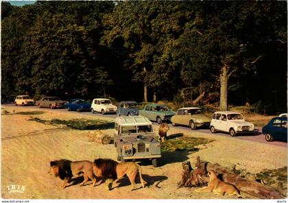 CPM Thoiry Lions en liberte FRANCE (1452587)