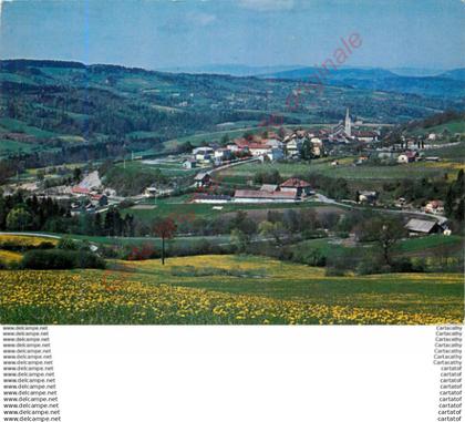 74.   THORENS GLIERES .  Vue générale .