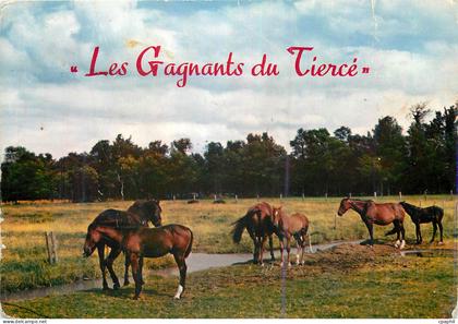 CPM Les Gagnants du Tierce Chevaux