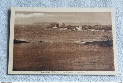 Trégastel, le gouffre, les sept iles, Cotes d'Armor 22