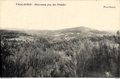 CPA VALLAURIS panorama pris des pinedes