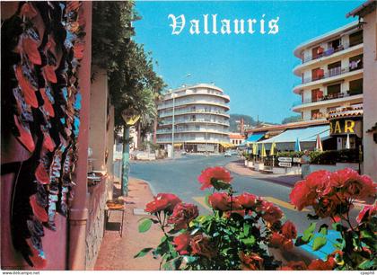 CPM Vallauris Centre important de poteries artistiques