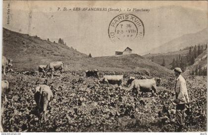 CPA LES AVANCHERS-VALMOREL Le Planchamp (1191086)