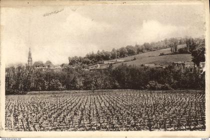 CPA Verdelais Vue Generale Et Le Vignoble