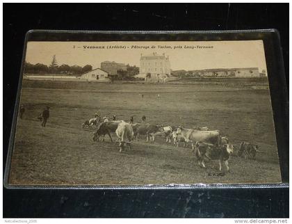 VERNOUX - PATURAGE DE VACHES PRES LONG-VERNOUX + BERGER - 07 ARDECHE