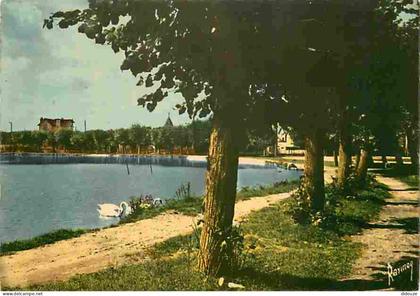 Carte Postale - 91 - Vigneux sur Seine - Le lac bleu - Cygnes - CPM - Voir Scans Recto-Verso - Poscard - Carta Postal -