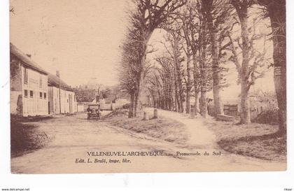VILLENEUVE L ARCHEVEQUE(ARBRE)